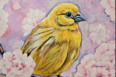 Canary-in-Pink-Wonderland-14X14-canvas