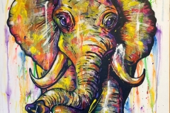 1_Elephunk