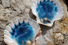 Pair of 2 Decorative Resin Shell Trinket Dishes