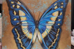 Morpho Cypris 20X20 Acrylic on Gallery Wrapped Canvas