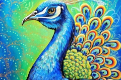 Boho-Peacock-11X14-GW