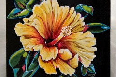 Hawaiian-Hibiscus-small