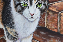 Jennifer-Jolly-Cat-small