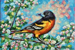 Oriole-Wonderland-12X9