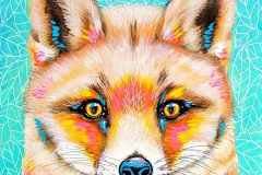 Patience-Fox-8X8