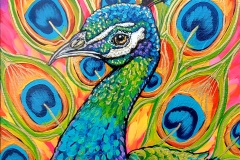 Peacock-Joy-8X8