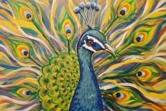 Peacock 12X9 Acrylic on Canvas