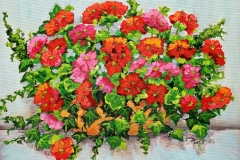 Red-Geraniums-Ivy-14X11