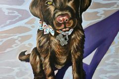 Susan-Gibbs-Dog-scaled