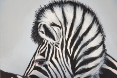 Zebra 9X12 Acrylic on Canvas Board