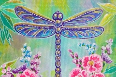 dragonfly-5x7