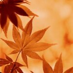 Give yourself permission to Explore!